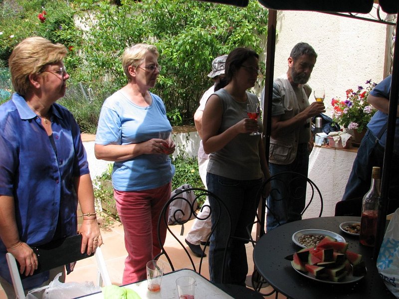 2009 07 Myco Gros taillis 11